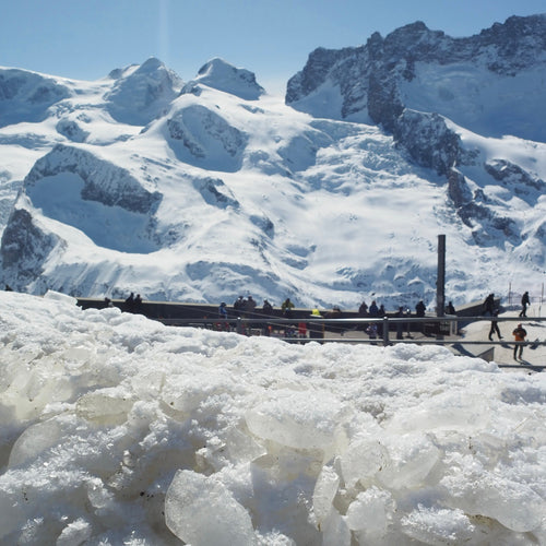Mit dem Zug durch die Schweiz