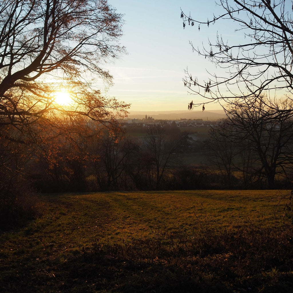 Winter in Mittelfranken